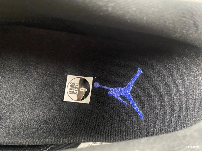 Reps TBkick FV5104-004 Space Jordan 11 Jam Low Air 0819